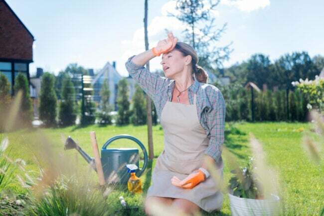 10 Möglichkeiten, wie Gartenarbeit Sie krank machen kann
