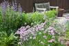 11 voňavých rastlín na pestovanie pre dokonalú aromaterapeutickú záhradu