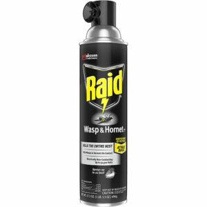 As melhores opções de spray de vespa: Raid Wasp and Hornet Killer, 17,5 OZ