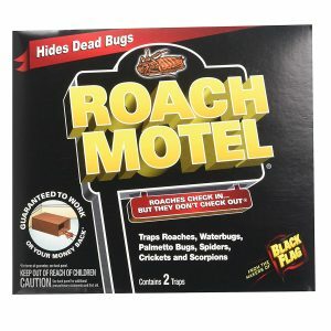 A legjobb Roach Killer lehetőségek: fekete zászló