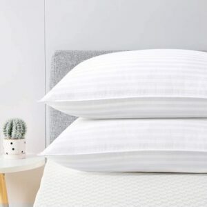 Det bästa allergivänliga kuddalternativet: viewstar Queen Gel Pillows 2 Pack for Sleeping