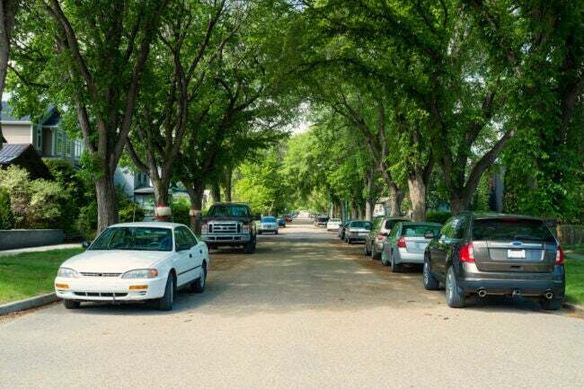 vy tittar ner bostadsgata med bilar parkerade under skuggiga träd