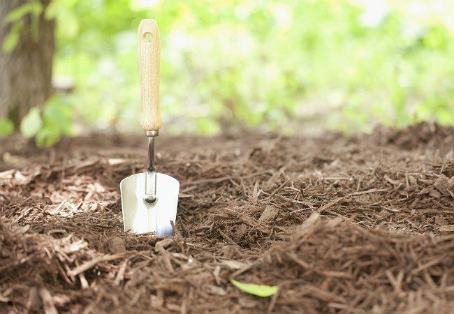 Hogyan készítsünk talajtakarót