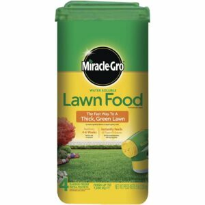 Parhaat lannoitteet Zoysia Grassille: Miracle-Gro vesiliukoinen nurmikon ruoka