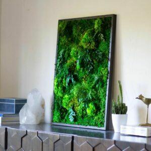 Os melhores presentes para os amantes de plantas: ArtBotanicaMoss Preserved Moss Art emoldurado