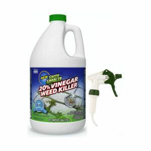 最高の除草剤オプション：グリーンゴブラービネガーウィード＆グラスキラー