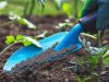 정원을 위한 최고의 유기농 비료 옵션