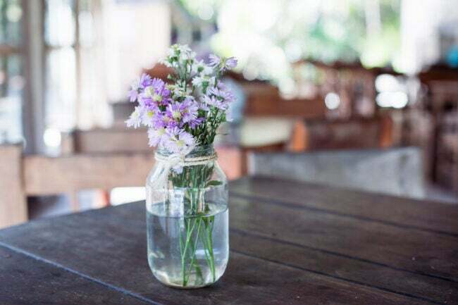 zieds, pušķis, savvaļas puķe, restorāns