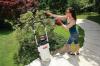 Les meilleurs pulvérisateurs à pompe pour vos besoins de pelouse et de jardin en 2021