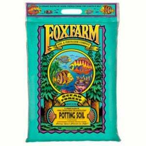 Cel mai bun sol pentru Pothos Opțiune: Foxfarm Ocean Forest Organic Garden Potting Soil