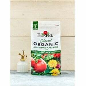 A legjobb műtrágya görögdinnye számára: Növényi táplálék, Burpee Enhanced univerzális
