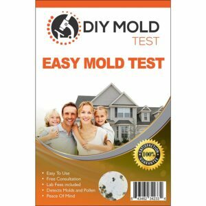 A melhor opção de kit de teste de molde: Teste de molde DIY da rede de inspeção de molde