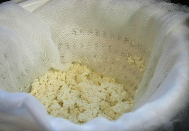 რძის საღებავის რეცეპტი - შეგროვება