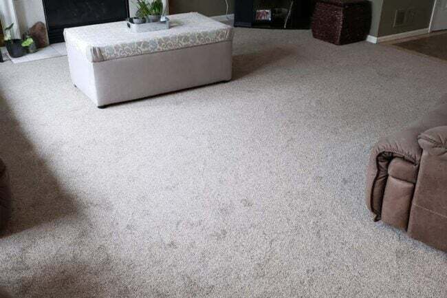 Die besten Orte, um Teppich zu kaufen Option The Carpet Guys