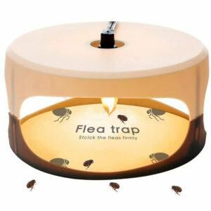 As melhores opções de armadilha para pulgas: ZZC Flea Trap com 2 discos de cola Instalação simples