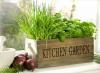 Obohatte svoju kuchyňu o zimnú bylinkovú záhradu