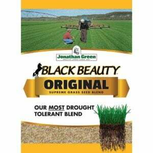 La mejor opción de semilla de césped para resiembra: Scotts Turf Builder Grass Seed High Traffic Mix