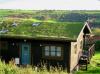 ბობ ვილას რადიო: მწვანე სახურავები