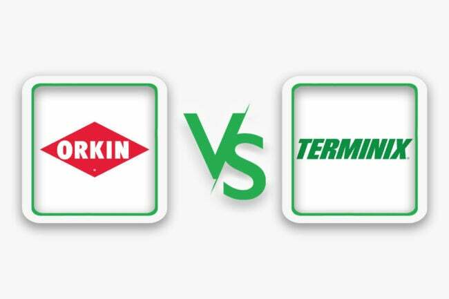 Orkin vs. Terminal