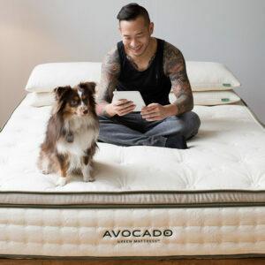 Nejlepší matrace pro polohovatelné postele: Avokádová zelená matrace