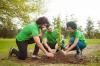 Os melhores serviços de plantação de árvores comemorativas de 2023