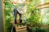 10 måder at dyrke økologisk på en snøre