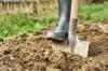 Kerti talaj vs. Cserepes talaj: a 7 legnagyobb különbség