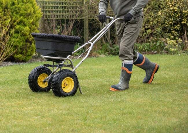 iStock-1389549513 ting en anlægsgartner kan gøre Gartner gartner, der anvender foder på græsplænen