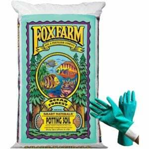Лучшая почва для деревьев авокадо FoxFarm Ocean Forest Plant Garden Potting Soil Mix