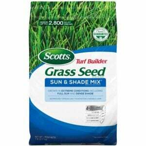 Cea mai bună sămânță de iarbă pentru opțiunea de nord-est: amestec de semințe de iarbă Scotts Turf Builder pentru soare și umbră