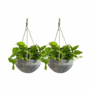 De beste optie voor hangende plantenbakken: hangende plantenbakken van La Jolie Muse