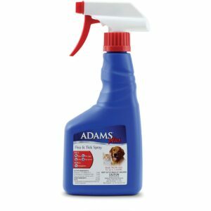 Geriausias purškimo nuo blusų variantas: „Adams Plus“ blusų ir erkių purškalas katėms ir šunims