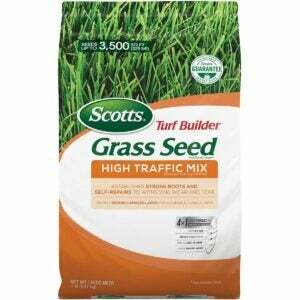 La mejor opción de semilla de césped para resiembra: Scotts Turf Builder Grass Seed High Traffic Mix