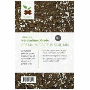 Bästa jorden för Aloe Vera-alternativ: 8 Quarts xGarden Cactus and Succulent Soil Mix