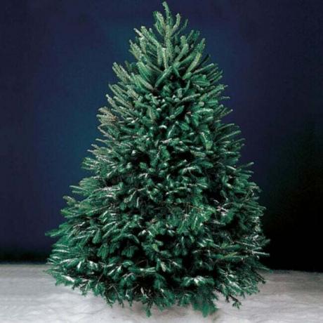 A melhor opção de serviço de entrega de árvores de Natal: Hammacher Schlemmer