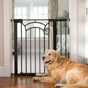 En İyi Köpek Kapısı Seçeneği: Güvenlik 1. Kolay Kurulum Kapıdan Uzun ve Geniş Yürüme Yolu