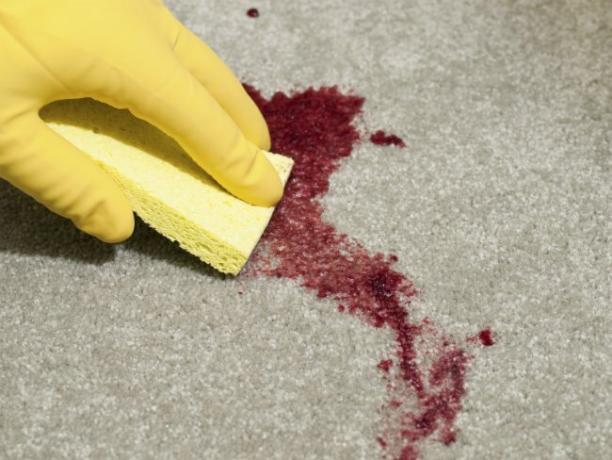 Jak usunąć krew z dywanu?