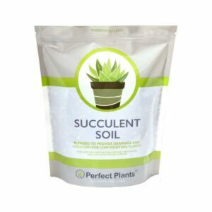 Meilleur sol pour les plantes succulentes AllNatural