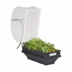 최고의 제기 정원 침대 옵션: Vegepod 제기 정원 침대