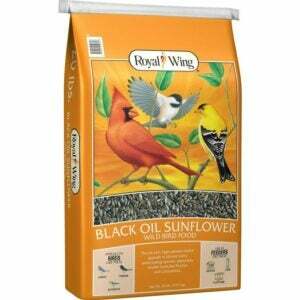 Parim variant linnuseemnetest: Royal Wing Black Oil päevalillest metslindude toit