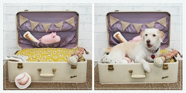Proyectos de bricolaje de equipaje - Cama para perros