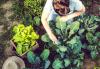 Hlinitá pôda 101: Ako si ju vyrobiť a záhradkovať