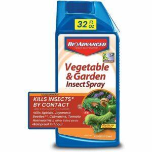 Najlepší insekticíd pre zeleninovú záhradu: Pokročilý sprej proti hmyzu BioAdvanced Bayer