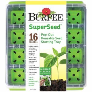 Най-добрата опция за стартови тави за семена: стартова тава за семена Burpee SuperSeed