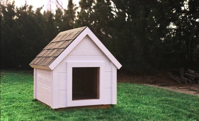 კლასიკური ძაღლის სახლი სამკუთხა სახურავით, დამზადებული თეთრი ხისგან, ეზოში მწვანე ბალახით