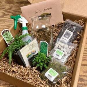 Найкращий варіант передплатних коробок для садівництва: My Garden Box