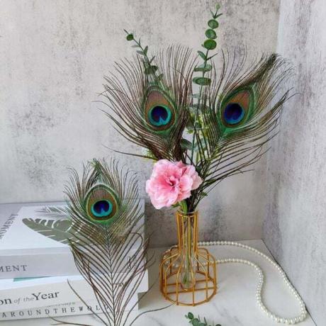 Povo plunksnų dekoras vazoje