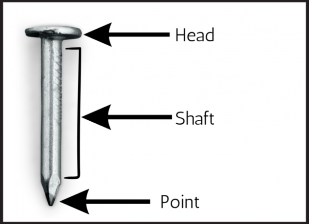 Getty tipų nagų nagų dalys, pažymėtos diagramoje