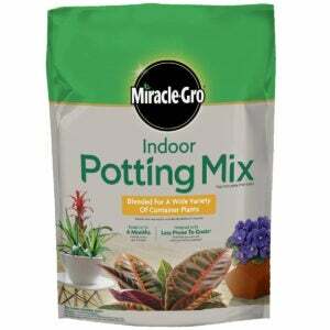 Paras maaperä yrteille: Miracle-Gro Indoor Potting Mix 6 kpl, kasvaa kauniita huonekasveja