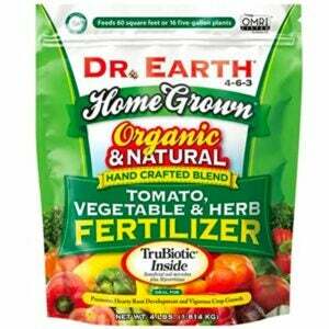 Najbolja opcija gnojiva za krastavce: Dr. Earth Organic 5 Gnojivo za rajčice i bilje